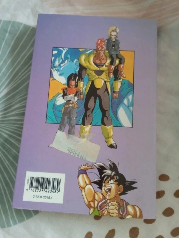 Dragon ball 30 réunification – photo 2